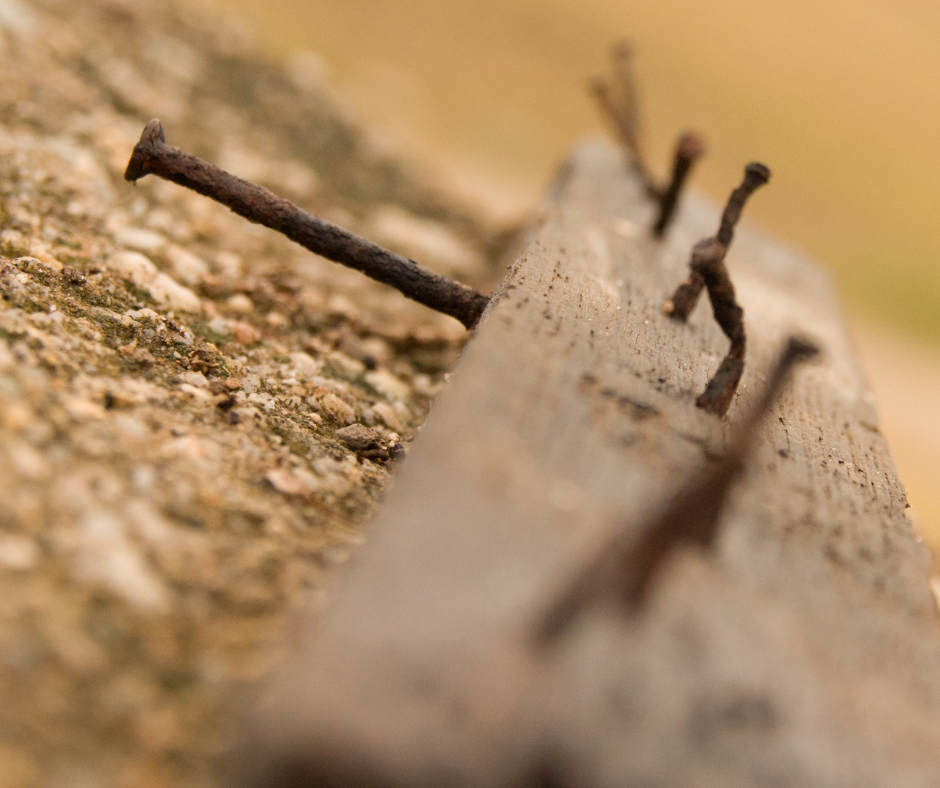 rusty nails in wood
